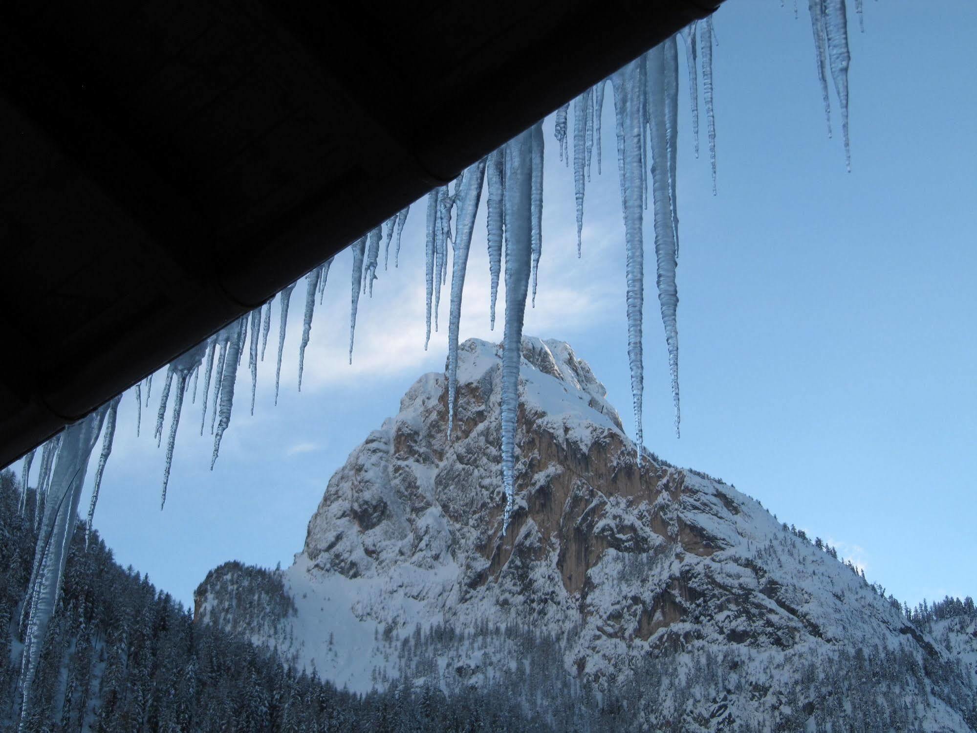 Appartamenti Chalet Orchidea Canazei Exterior photo